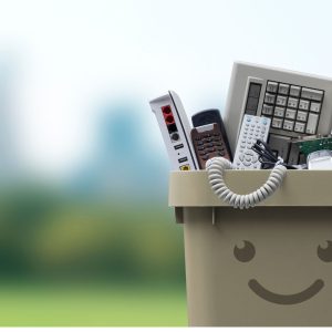 Yard Waste Removal and Junk Hauling